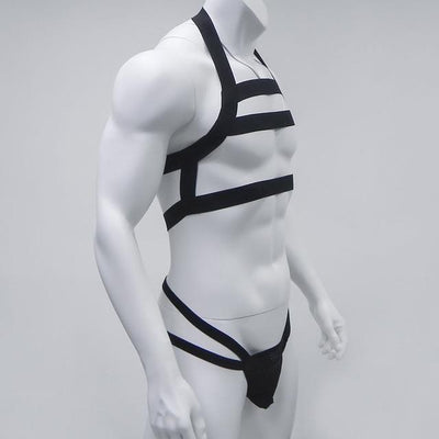 Jockstrap + Triple Harness