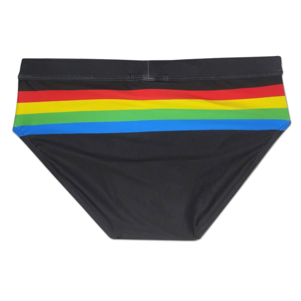 Ringaround Rainbow Swim Briefs